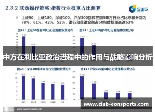 中方在利比亚政治进程中的作用与战略影响分析