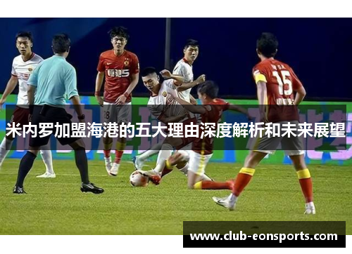 米内罗加盟海港的五大理由深度解析和未来展望