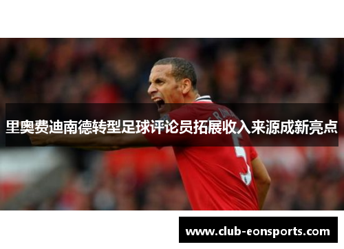 里奥费迪南德转型足球评论员拓展收入来源成新亮点 里奥费迪南德转型足球评论员拓展收入来源成新亮点